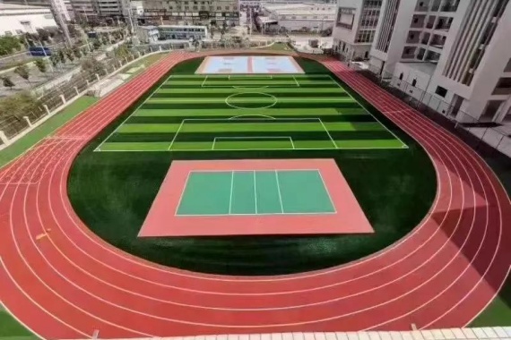飞盘捕鱼桶，趣味游戏类体育用品介绍
